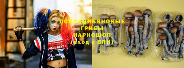 mdpv Козловка