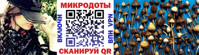 Купить  Палласовка  Псилоцибиновые грибы MAGIC MUSHROOMS 